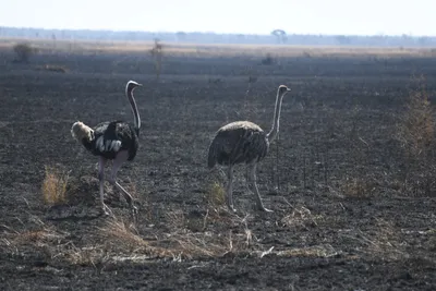 DSC_3423 (Large).JPG